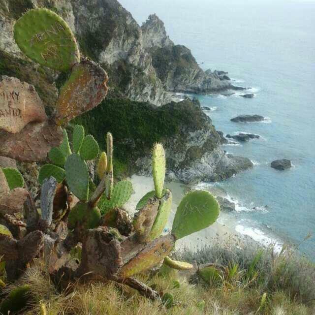 Villa Macria Capo Vaticano Esterno foto