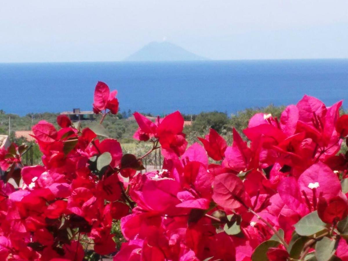 Villa Macria Capo Vaticano Esterno foto